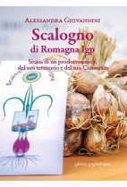Scalogno di Romagna Igp