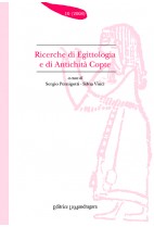 Ricerche di egittologia e di antichità copte n. 10 2008
