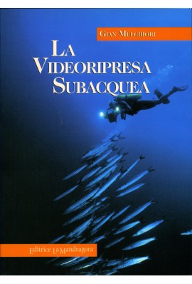 La videoripresa subacquea