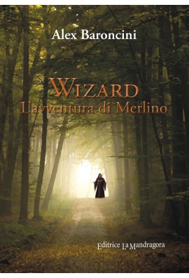 Wizard. L'avventura di Merlino