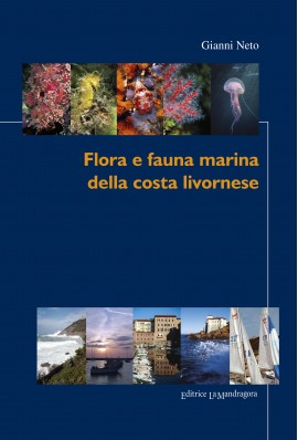 Flora e fauna marina della costa livornese